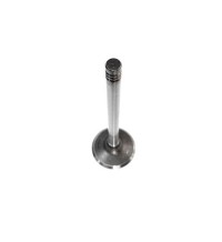 Exhaust valve 21739130